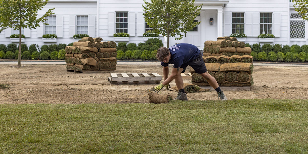 Landscape developer putting in sod